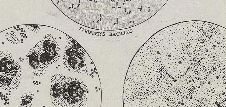 Pandemic Then and Now: Lessons from the 1918 Influenza